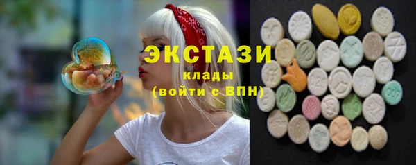 ECSTASY Богданович