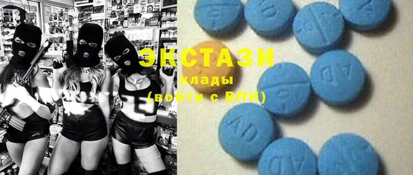 ECSTASY Богданович